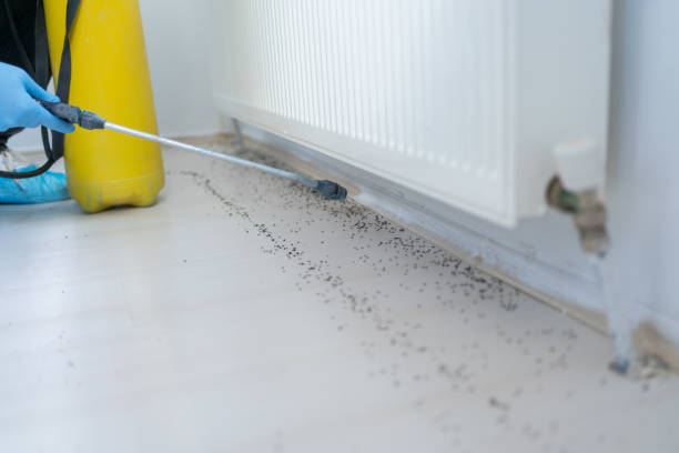 Best Bed Bug Extermination  in Lewisburg, OH
