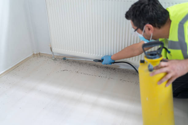 Best Pest Control for Businesses  in Lewisburg, OH